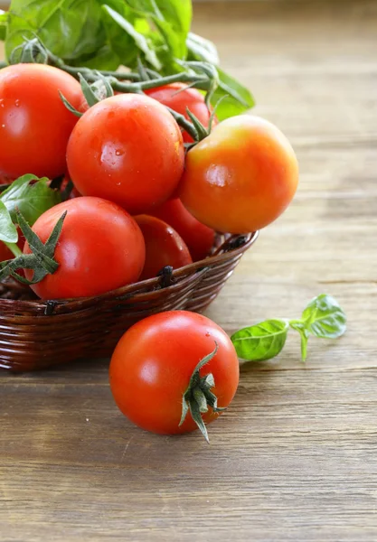 Tak van verse biologische tomaten met groene basilicum op houten achtergrond — Stockfoto