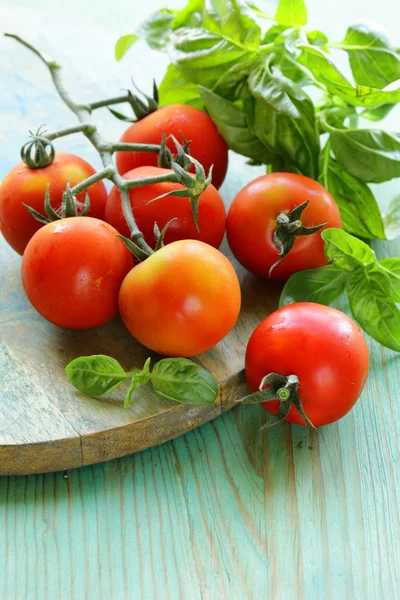 Ramo di pomodori freschi biologici con basilico verde su fondo di legno — Foto Stock