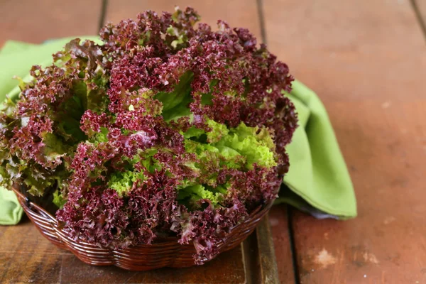 Fresh organic purple lettuce (Lollo Rosso) — Stock Photo, Image