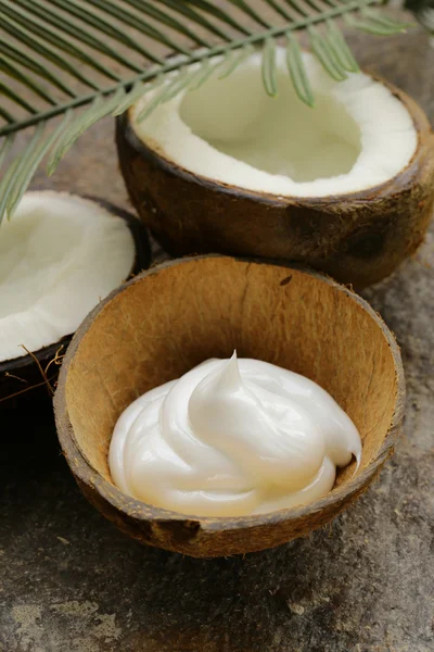 Coconut and coconut milk with palm branch Stock Photo by ©Dream79 9048042