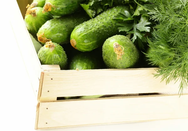 Свіжі органічні огірки в дерев'яній коробці — стокове фото