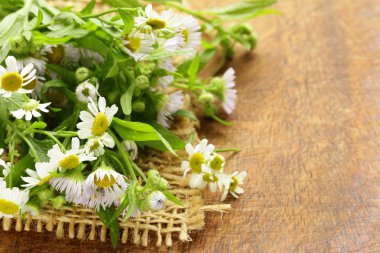 ahşap zemin üzerinde doğal taze papatya çiçekler