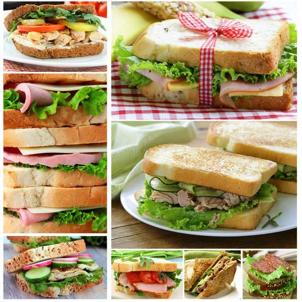 Collage of different sandwiches (ham and cheese, tuna and cucumber) — Stock Photo, Image