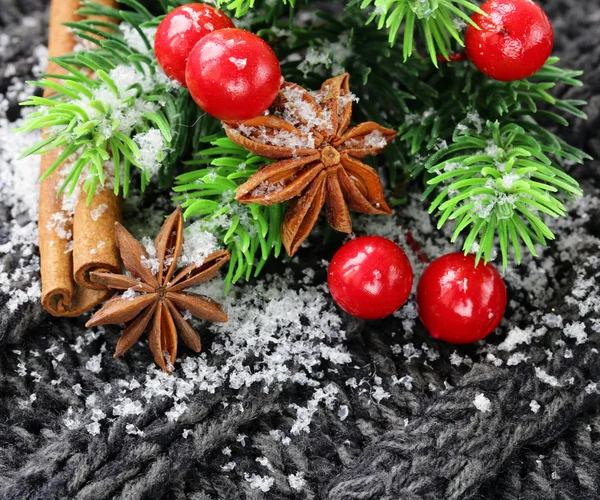 Christmas warm knitted background with fir tree and spices anise, cinnamon — Stock Photo, Image