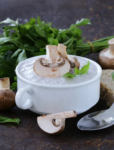 버섯 수프 퓌 레 신선한 champignons와 파 슬 리 — 스톡 사진