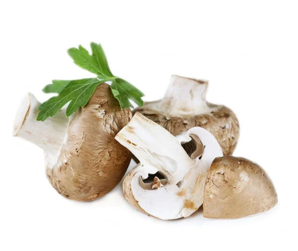 Cogumelos orgânicos frescos champignon com folhas de salsa — Fotografia de Stock