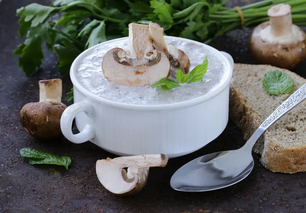 Zupa grzybowa przecieru z świeże pieczarki i pietruszka — Zdjęcie stockowe