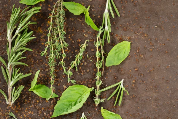 Surtido de hierbas aromáticas (albahaca, tomillo, romero) sobre fondo de hierro — Foto de Stock