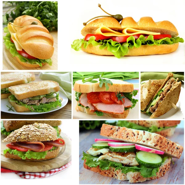 Collage de différents sandwichs (jambon et fromage, thon et concombre) ) — Photo