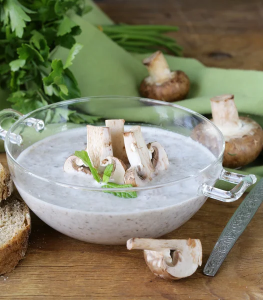 蘑菇汤酱鲜香菇和欧芹 — 图库照片