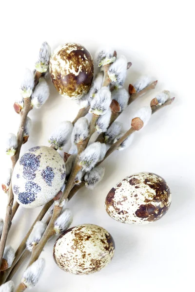 Easter composition of willow branches and eggs — Stock Photo, Image