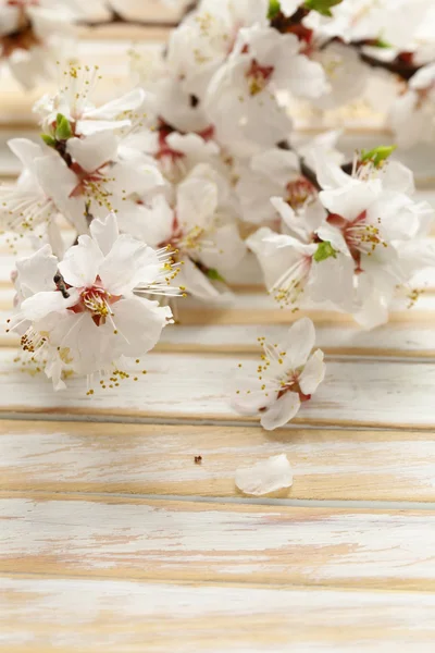 Flor de primavera (cerezo oriental, manzano) sobre mesa de madera — Foto de Stock