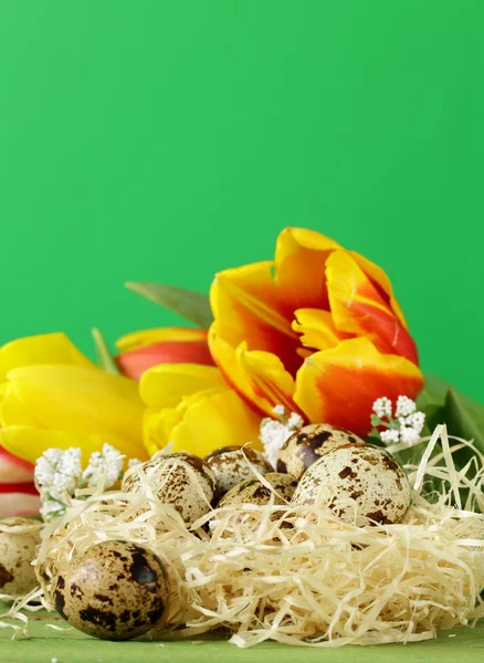 Pâques nature morte avec des fleurs de printemps tulipes et oeufs sur un fond en bois — Photo