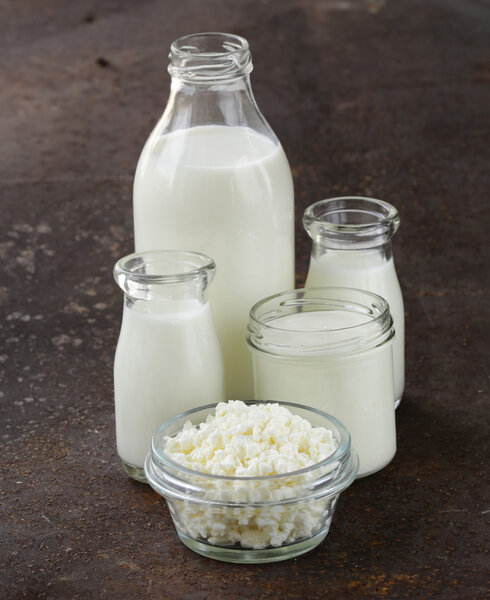 Assortment of dairy products (milk, cheese, sour cream, yogurt)