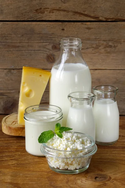 Assortment of dairy products (milk, cheese, sour cream, yogurt) — Stock Photo, Image