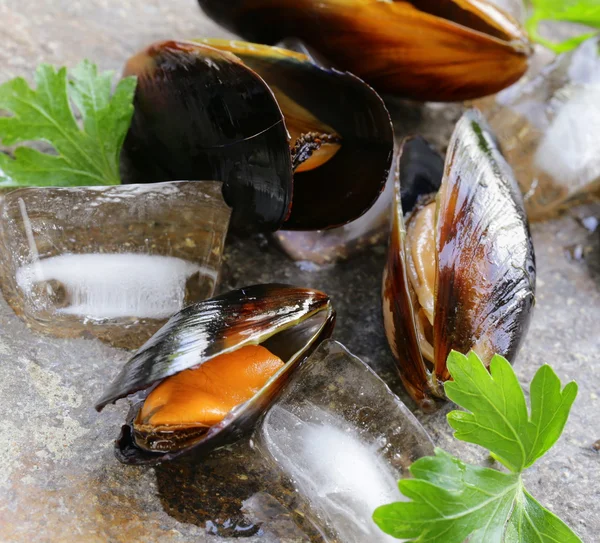 Cozze di pesce fresche deliziose con prezzemolo verde — Foto Stock