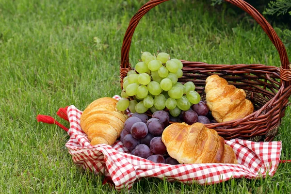 Piquenique na grama verde com uvas, maçãs e croissants — Fotografia de Stock