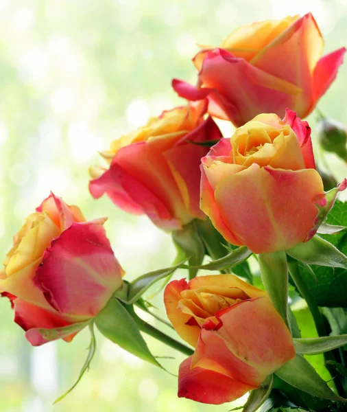 Μπουκέτο τριαντάφυλλα όμορφα λουλούδια για διακοπές δώρα — Φωτογραφία Αρχείου