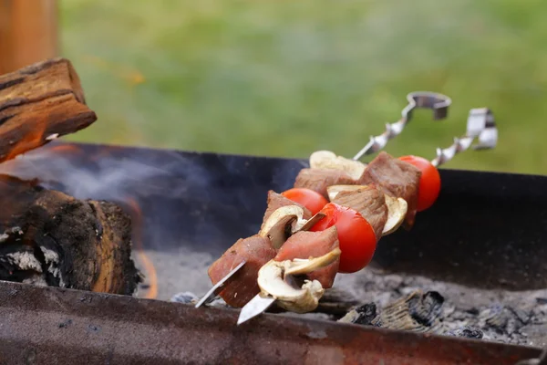 Meat roasted on the fire skewers (shashlik) with tomatoes and mushrooms — Stock Photo, Image