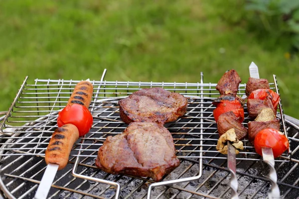 Assortment barbecue meat (steak, shashalyk, sausages) picnic outdoors — Stock Photo, Image