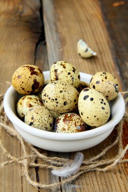 Tahta bir masada kasede bıldırcın yumurtası.