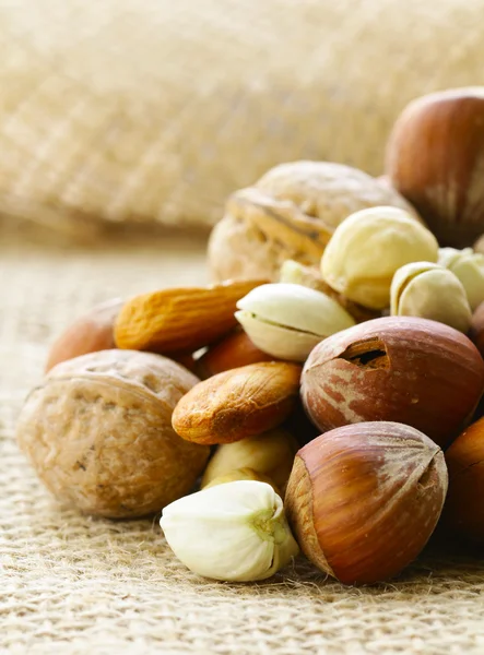 Different kinds of nuts (almonds, walnuts, hazelnuts, pistachios) — Stock Photo, Image