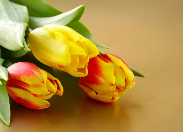Pascua primavera flores tulipanes rojo y amarillo —  Fotos de Stock