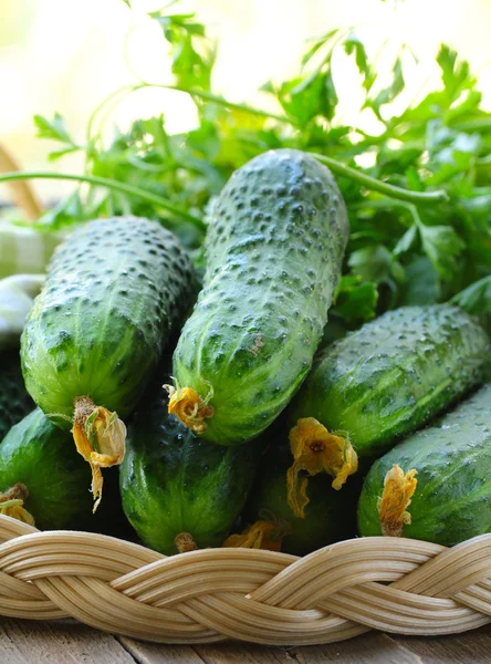 Fresh ripe green organic cucumbers on a wooden table — Stock Photo, Image