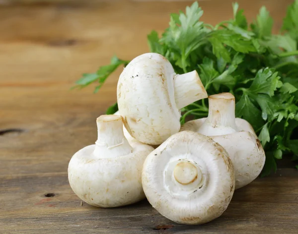 Champiñones frescos de champiñones crudos con perejil de hierbas —  Fotos de Stock