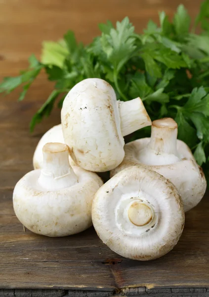 Champinhons de cogumelos crus frescos com salsa de ervas — Fotografia de Stock