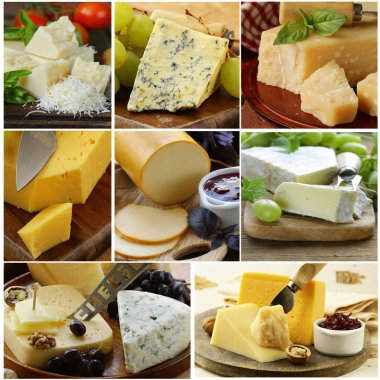 Collage of various types of cheese (brie, parmesan, cheddar, blue) clipart