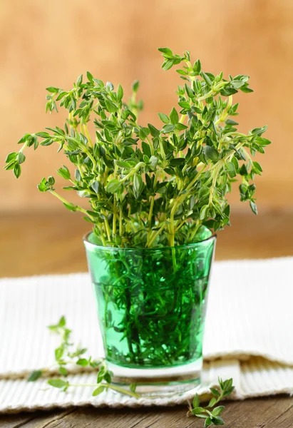 Un mazzo di timo verde fresco in un bicchiere — Foto Stock