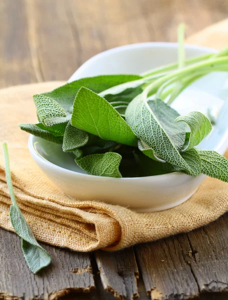 Green fresh sage - herb spice on a wooden table — Stock Photo, Image