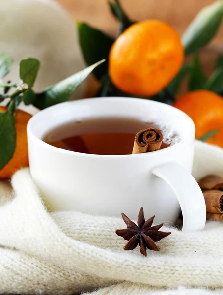 Glass cup with herbal tea, healthy lifestyle — Stock Photo, Image