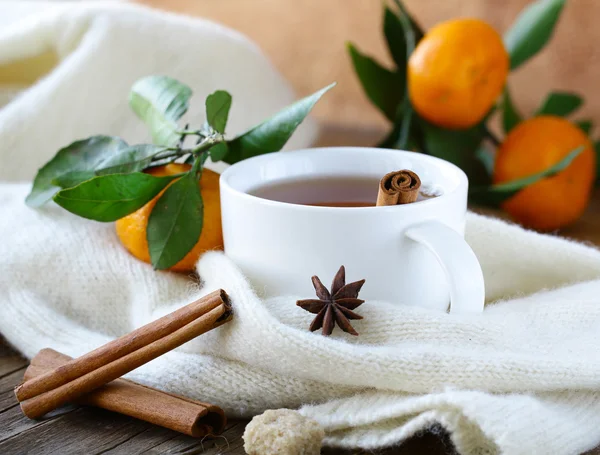 Glass cup with herbal tea, healthy lifestyle — Stock Photo, Image