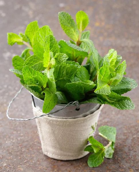 Bunch of fresh green fragrant mint on a wooden table — Stock Photo, Image