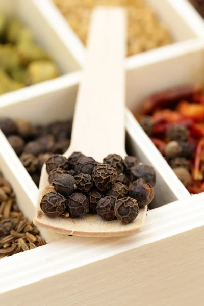 Especia con sabor a pimienta negra en una cuchara de madera — Foto de Stock