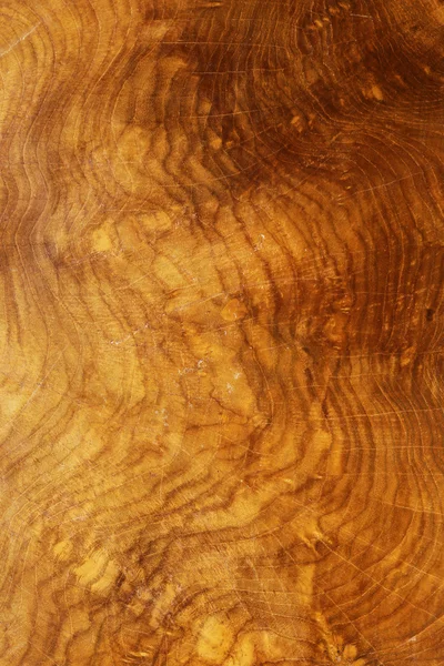 Textura de madera de olivo, utilizada como fondo — Foto de Stock