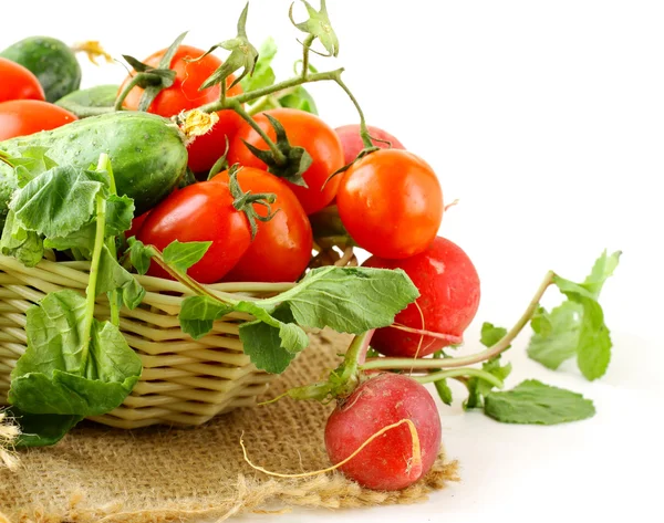 Fresh organic tomatoes and cucumbers in a basket on a white background — Stock Photo, Image