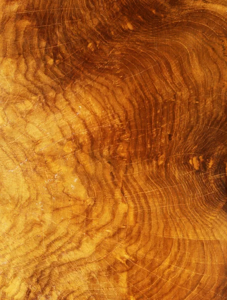 Textura de madera de olivo, utilizada como fondo — Foto de Stock