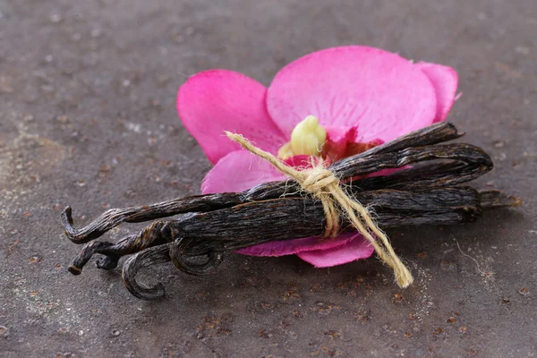 Natural organic vanilla pods, for the aromatic baking — Stock Photo, Image