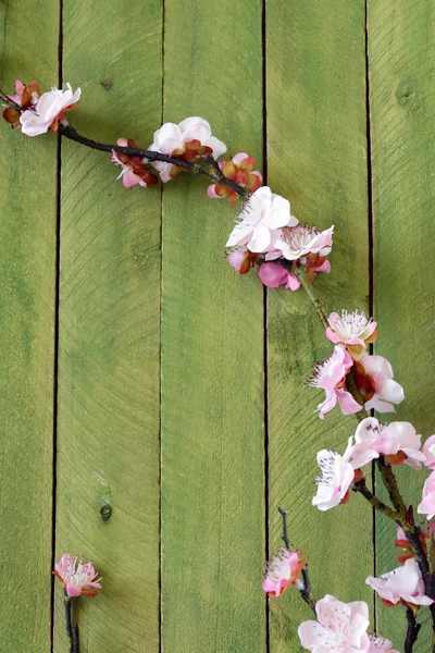 Spring blossom flowering branches of cherry (sakura) on rustic wooden table — Stock Photo, Image
