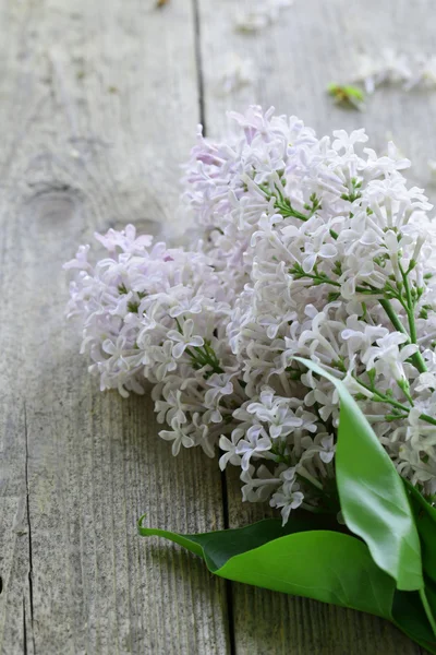 Rami di lillà in fiore su un vecchio sfondo di legno — Foto Stock