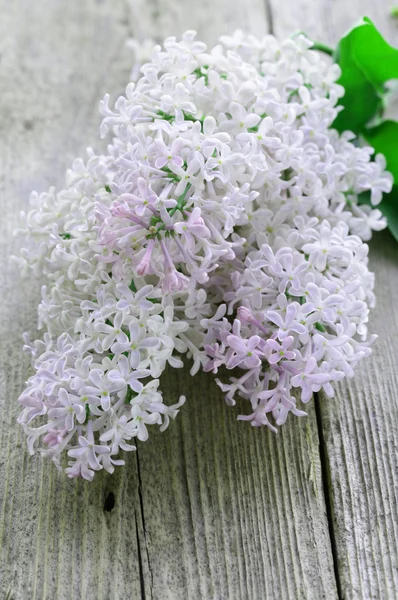 Branches of blooming lilacs on an old wooden background — Stock Photo, Image