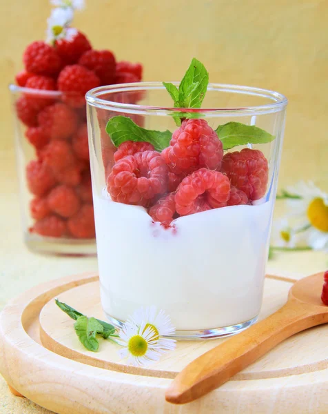 Dairy dessert - yogurt with fresh ripe red raspberries — Stock Photo, Image