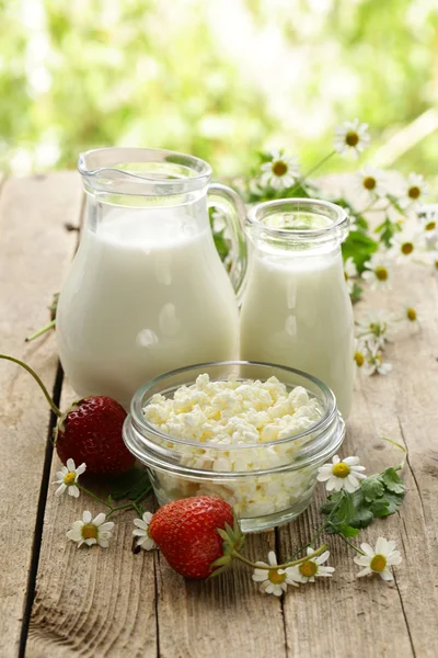 Sortimento de produtos lácteos (leite, manteiga, nata azeda, iogurte) vida morta rústica — Fotografia de Stock