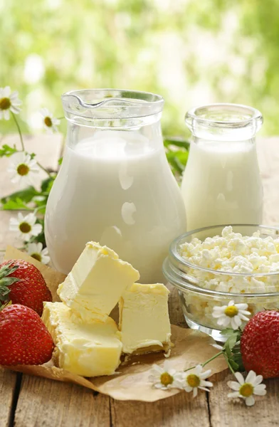 Sortiment an Milchprodukten (Milch, Butter, Sauerrahm, Joghurt) rustikales Stillleben — Stockfoto