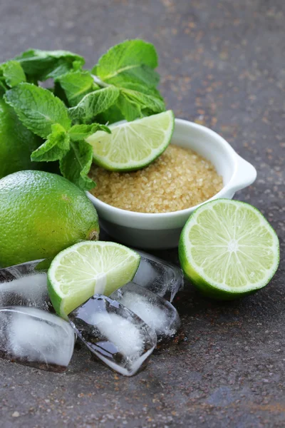 Ingredients for making mojito - lime, sugar, mint and ice — Stock Photo, Image