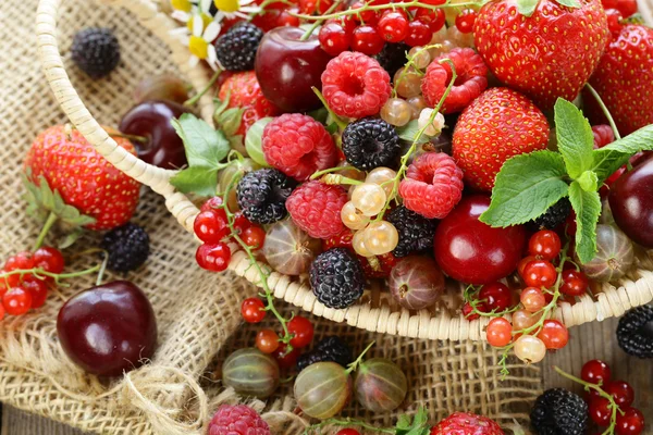 Sortierte Sommerbeeren (Himbeeren, Erdbeeren, Kirschen, Johannisbeeren, Stachelbeeren) — Stockfoto