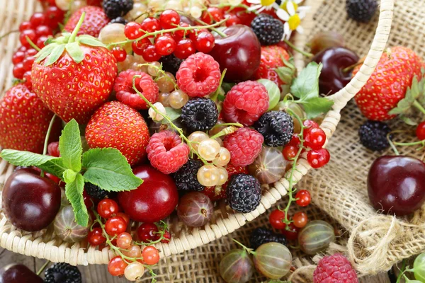 Bagas de verão sortidas (framboesas, morangos, cerejas, groselhas, groselhas ) — Fotografia de Stock